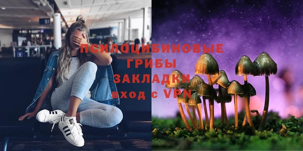прущая мука Армянск