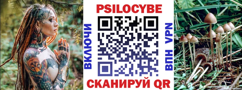 Галлюциногенные грибы Psilocybe  Пыть-Ях 